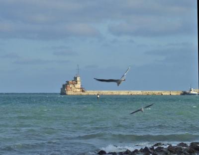 Прикрепленное изображение: DSCF6261.jpg